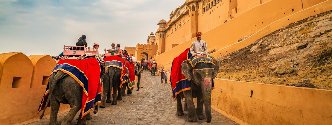 Amber Palace elefante Que ver en India Circuitos turísticos en India