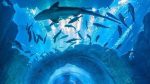 Ticket Aquarium & Underwater Zoo