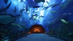 Ticket Aquarium & Underwater Zoo - Imagen 5
