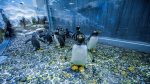 Ticket Aquarium & Underwater Zoo - Imagen 3